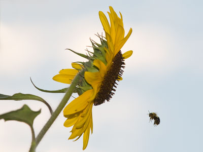 There was another photographer taking pictures nearby.  We were both thinking, `What on EARTH is he doing?`