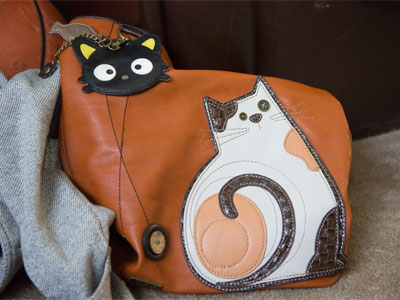 It appears that my sister likes cats.