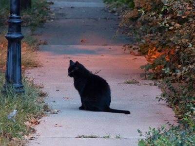 Don`t press your luck.  Walk a different way.