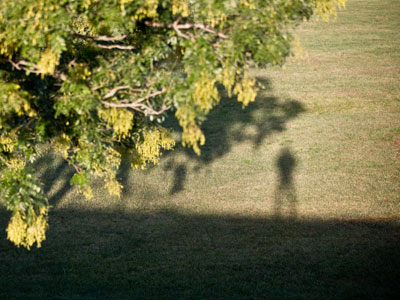 The fool on the hill sees the sun going down, and the eyes in his head see the world spinning round. PAUL MCCARTNEY