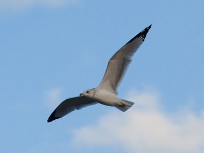 This is what I really meant on October 1 above.