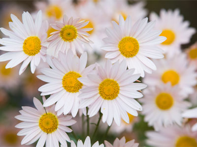 I am in denial about the changing seasons.