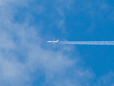 My goal in life is to disappear.