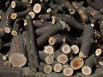 Preparing for the long winter ahead.