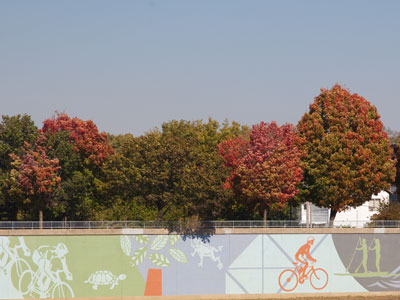 Color coordination along the river.