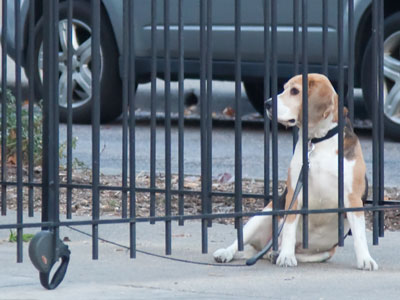 Plotting a breakout.