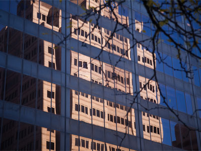 When did the leaves leave?