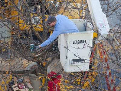 It`s beginning to look a lot like you know what.