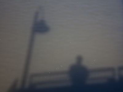 I took a quick swim during my lunch break.