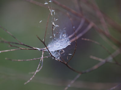 I spent this morning in a dewy prairie and the rest of the day inside of an office building.  The prairie was better.