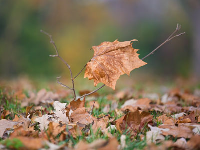 Nature doesn`t shout out to you, `Hey!  Take my picture.`  You have to be able to SEE.