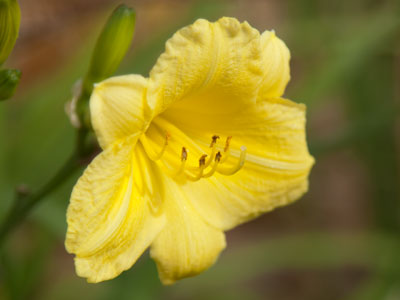 Summer has been held over by popular demand.