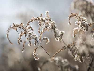I just taught a photo workshop telling students not to take pictures toward the sunlight, and then I go out and do it.
