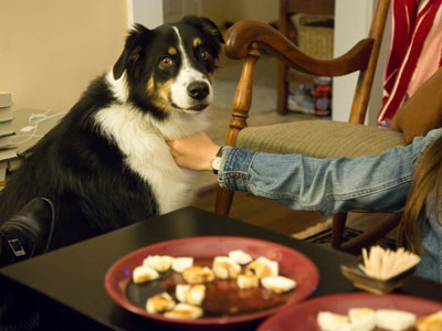Franny had to be held back from the appetizers.
