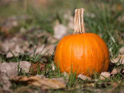 Ready to be smashed in the street.