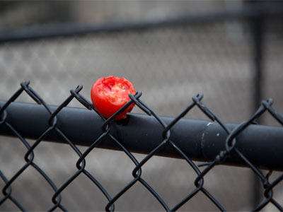 Someone just remembered they don`t like tomatoes.