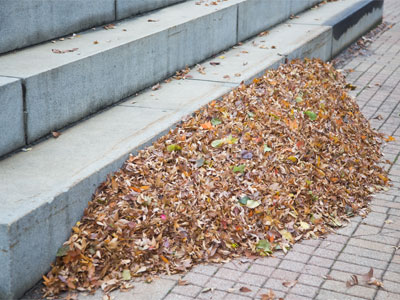 I`m pretty sure there`s somebody under there.