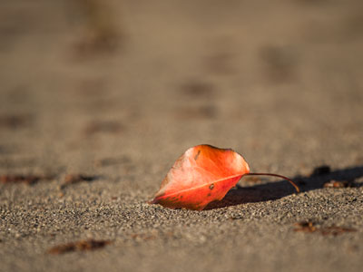 On the way to the post office in the morning.