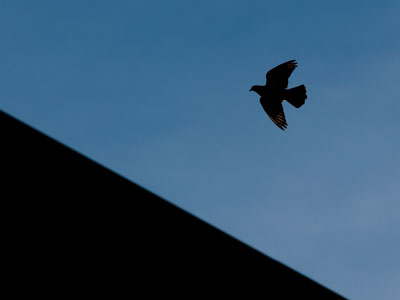 Vaguely reminiscent of the plane of November 23, 2014.