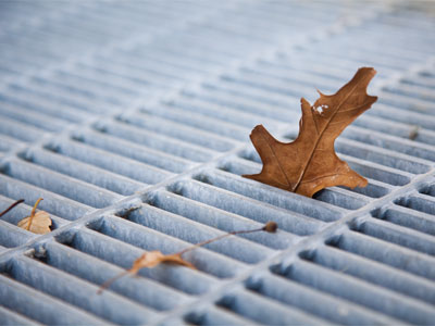 I stop walking, circle around a few times, kneel on the sidewalk and take pictures of a leaf.  Is this odd behavior?