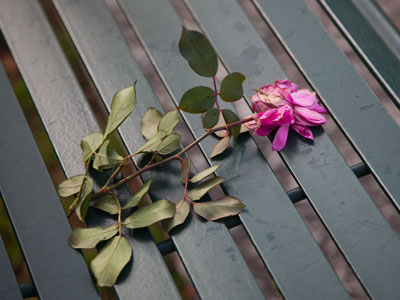 May brings the flowers to bloom, it brings the green leaves to the tree, and the fatally sweet perfume of what you once were to me. PAUL LAURENCE DUNBAR