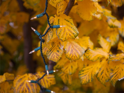 When seasons collide.