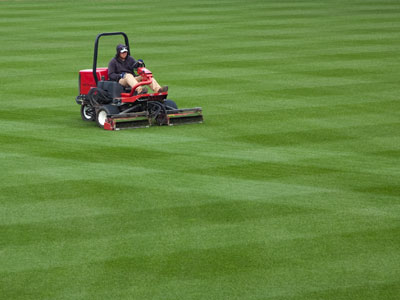 Grass.  It never stops growing!