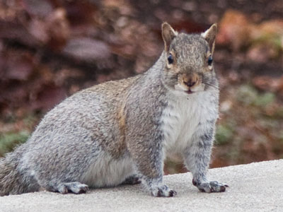 We spent some time together at the park this afternoon.