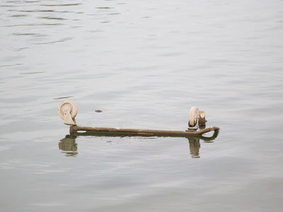 The river has been high lately (see November 25, 2015).