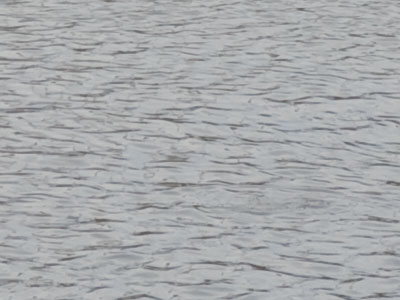 Now you don`t.  The stayed underwater a long time.