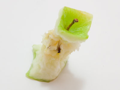 I`m following the example of Edward Weston, who used to photograph green peppers and then eat them.