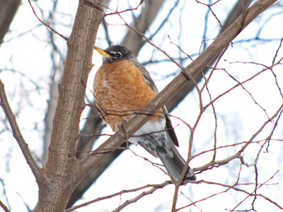 Nothing to do, nothing to eat, nowhere to go.