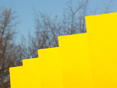 Strangely drawn to yellow today, a bright and sunny color.