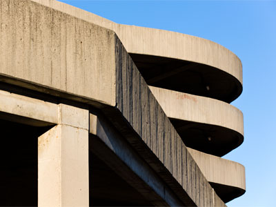 Like starlings, automobiles are also an invasive species.