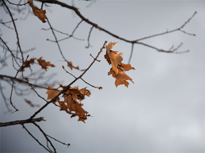 Winter belatedly kicked in today.