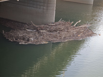 It all started with one twig.  Who`s going to clean this up?