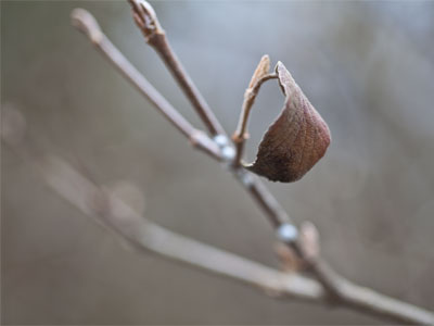 In the bleak midwinter.