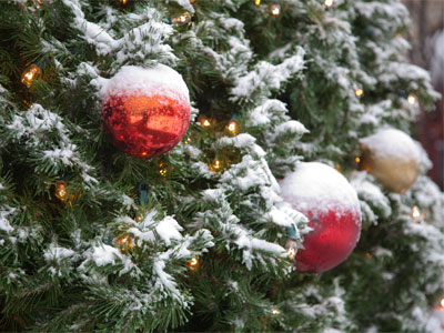 Time to take down the Christmas tree, don`t you think?