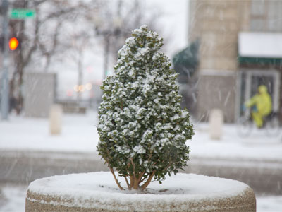 I got lost in the woods during the snowstorm.
