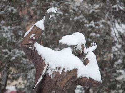 Snowball to the face!  Nice shot, Orville.