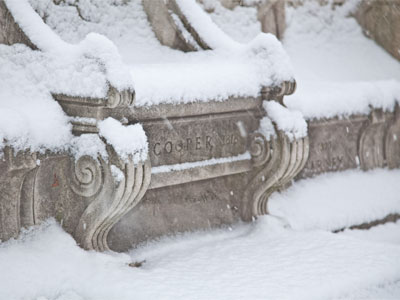 Today`s theme:  stuff with snow on it.