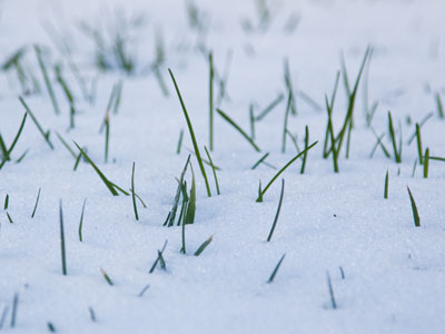 Only 65 days until spring.