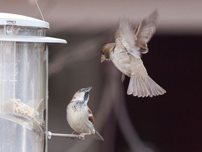 `Sorry, this seat`s taken.`