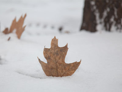 Taking a lot of meaningless pictures prepares me for the time when an important picture comes along.  This ain`t it.