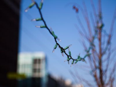Some people are slow to take down their Christmas decorations.