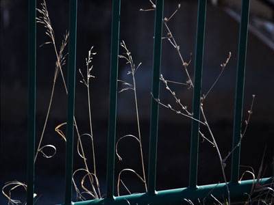 It was such a warm, sunny day I didn`t want to go inside.