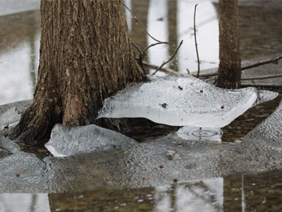 Despite the recent warm temperatures, winter lingers.