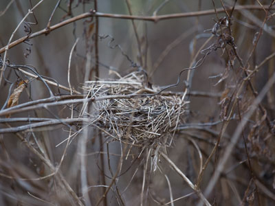 Immediate occupancy.