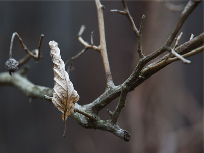 The sun never came out today.