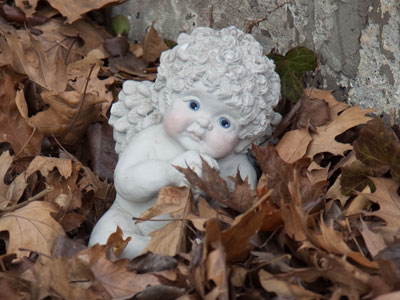 Praying for springtime.